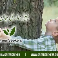Green Seekers Activity